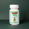 Baidyanath (Jhansi) Arshoghni Bati 40 Tablets